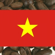 Vietnam GR1