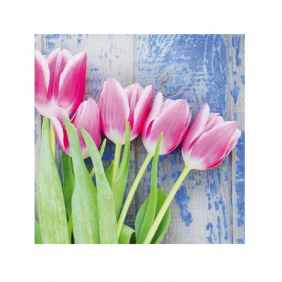 PPD serwetki Tulipany trójwarstwowe 33 x 33 cm
