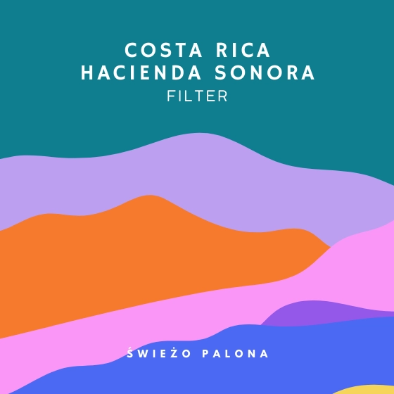 Costa Rica Hacienda Sonora Caturra Natural waga 1000g