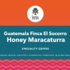 Guatemala Finca El Socorro Honey Maracaturra waga 1000