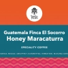 Guatemala Finca El Socorro Honey Maracaturra waga 1000g
