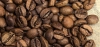 Odmiana kawy: CATUCAI