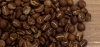 Odmiana kawy: CATIMOR