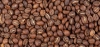 Odmiany kawy: LIMU, SIDAMO, YIRGACHEFFE