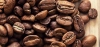 Odmiana kawy: ICATU