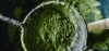 Matcha a zielona herbata liściasta - czym się różnią?