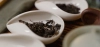 Batabatacha, japońska herbata z pianą. Jak przygotować?