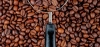 Odkryj różnorodność smaków kawy. Poznaj profil smakowy kawy Arabica i Robusta