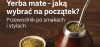 Yerba Mate – jaką wybrać na początek? Przewodnik po smakach i stylach