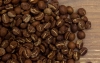 Odmiana kawy: CATURRA