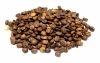 Odmiana kawy: PACAMARA