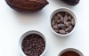 Kakaowiec: występowanie i właściwości. Gdzie uprawia się kakaowce na ziarna?