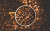 Coffea Canephora: Odkryj Świat Kawy Robusta, Conilon i Ngada