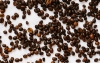 Jakie są różnice między brazylijską kawą a innymi gatunkami?