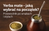 Yerba Mate – jaką wybrać na początek? Przewodnik po smakach i stylach
