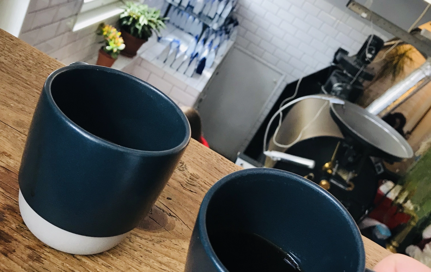Podróże z kawą: Holandia i Belgia