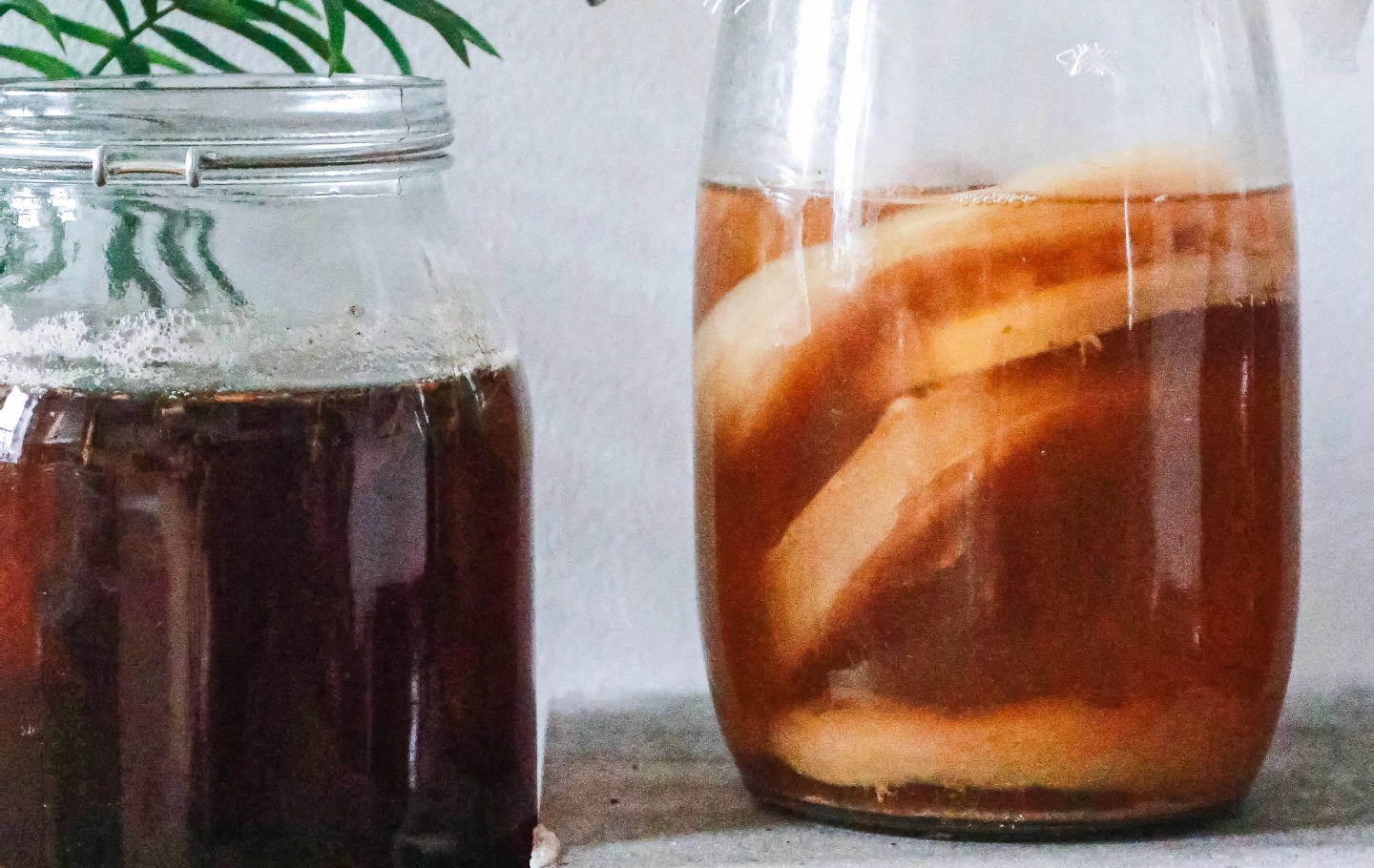 Co to grzybek herbaciany i czym jest kombucha?
