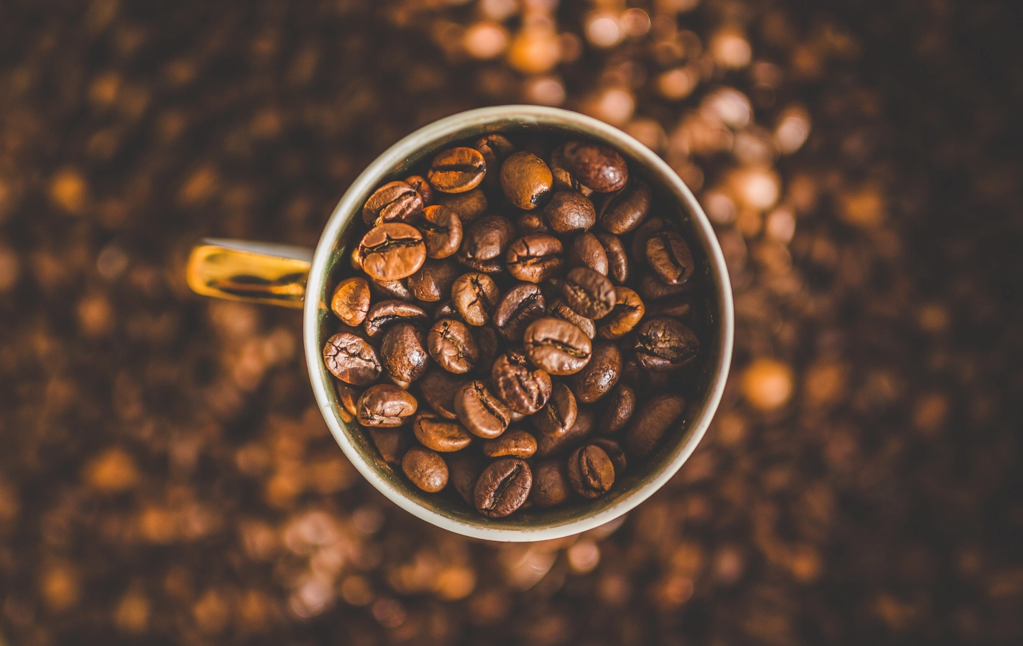 Coffea canephora to nie tylko robusta. Czym różni się od kawy arabiki i skąd jej rosnąca popularność?