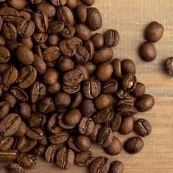 Mexico SHG Finca Flamingo waga 250