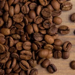 Brazil Fazenda Sertao Yellow Bourbon Honey waga 250