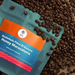 Guatemala Finca El Socorro Honey Maracaturra 200
