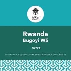 Rwanda Bugoyi Natural Red Bourbon waga 250 zmielona do przelewowy / drip / chemex