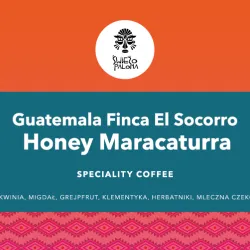 Guatemala Finca El Socorro Honey Maracaturra waga 1000