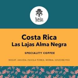 Costa Rica Las Lajas Alma Negra 1000
