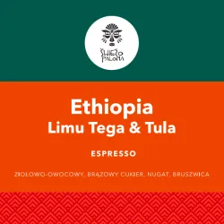 Ethiopia Limu Tega Tula Grade 1 Washed waga 250 zmielona do french press / aeropress