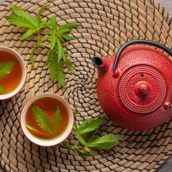 Herbata z konopi - na co pomaga? Czy herbata konopna zawiera CBD i THC?