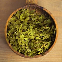 Przyprawa Czosnek niedźwiedzi NV opakowanie 10g