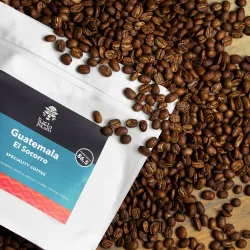 Guatemala Finca El Socorro Washed Pacamara waga 200