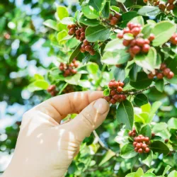 Czy wysokość ma znaczenie?