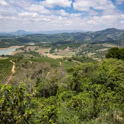 Podróże z kawą: Brazylia