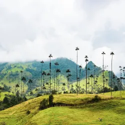 Podróże z kawą: Kolumbia