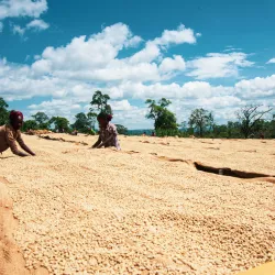 Jak pracuje Sasaba washing station?
