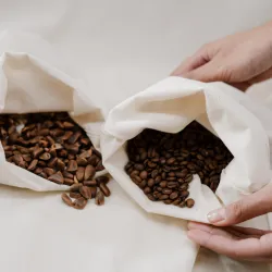 Arabica czy robusta - czym się różnią i którą wybrać?