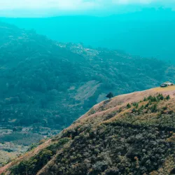 Krótka historia plantacji La Guaca w Kostaryce