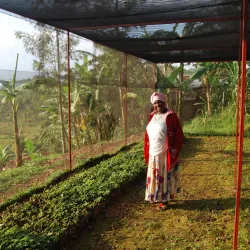 Skąd pochodzą nasze kawy? Rwanda Abakundakawa