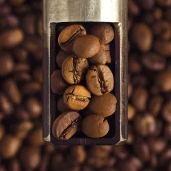 Uganda Wakiso Ngoma 250