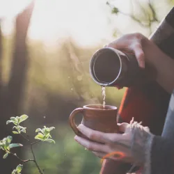 Gdzie produkuje się czarną herbatę na świecie i czym różni się zależnie od pochodzenia?