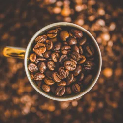 Coffea Canephora: Odkryj Świat Kawy Robusta, Conilon i Ngada