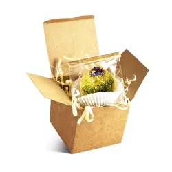 Bomba herbaciana żółta