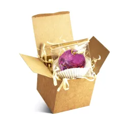 Bomba herbaciana fioletowa