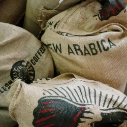 Odkryj Świat Kawy Single Origin: Smak, Który Opowiada Historię