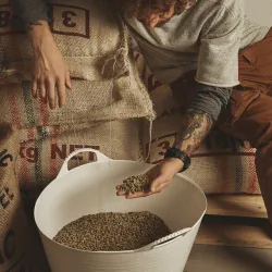 Znaczenie metody obróbki ziaren w produkcji kawy