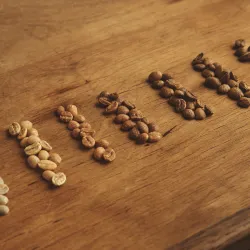 System gradingu kawy według SCA. Jak określać jakości kawy Arabica?