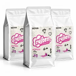 Poznański Rojber Ethiopia Sidamo Washed kawa ziarnista 3 kg 3 x 1 kg