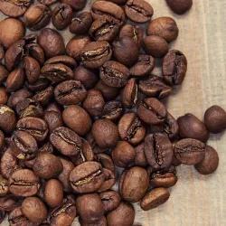 Brazil Fazenda Progresso de Bahia 250