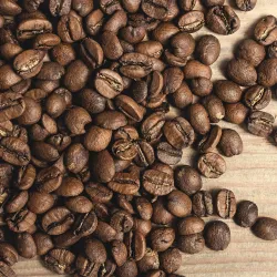 Brazil Daterra Monte Cristo 250